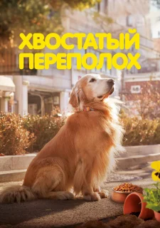 Хвостатый переполох
